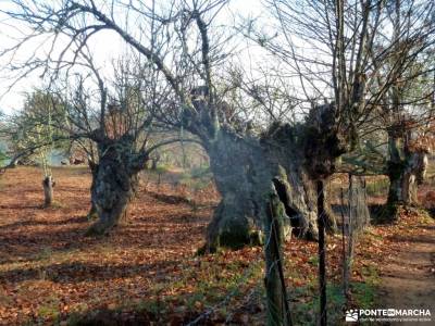 Sierra Aracena-Minas RíoTinto;caminatas sierra madrid rutas de senderismo comunidad de madrid senda